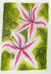 aceo art cards original watercolor painting pink and white lilies green swirls