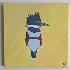 Original Artwork – Acrylic Painting – Belted Kingfisher Bird – 12in x 12in