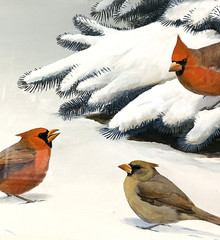 Original Bird Art Painting Cardinals by Robert Verity Clem, Signed, 1956, Framed