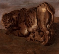 17th Century Flemish Old Master Tiger and Cubs – PETER PAUL RUBENS (1577-1640)