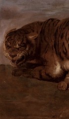17th Century Flemish Old Master Tiger and Cubs – PETER PAUL RUBENS (1577-1640)