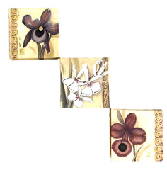 Botanical Floral Canvas Wall Art Set of 3 Flower Prints Farmhouse Floral 7 x7″