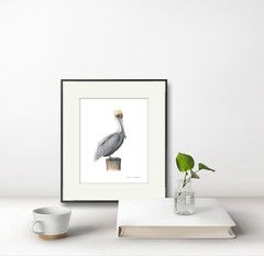 Pelican 8″x10″ Giclee Print of Hand-Painted Watercolor, Unframed