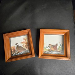 Joseph Quinn Whipple Abercrombie & Fitch 3D SHADOWBOX Pair Birds Woodcock Quail