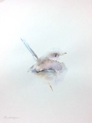 Fairy Wren, Birds, Watercolor artwork, Handmade, Original painting on paper