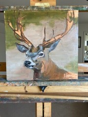 Whitetail Buck ~ Realistic Wildlife Oil Painting ~ 12″X 11″ ~ Signed ~ On Board