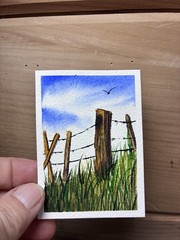 Original Watercolor ACEO Rustic Barbed Wire Fence Country Landscape ladeefire