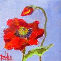Delilah Original red poppy painting impressionism oil COA