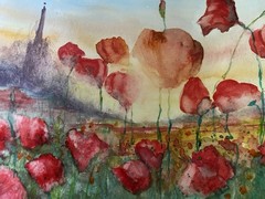 Original Watercolor Painting Poppy Field Signed By Artist, 8×10 Red Poppies OOAK