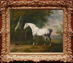Hand Painted Vintage Horse dog Forest Landscape Oil Painting Classical Wall Art
