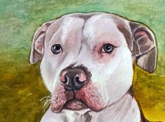 Custom Pet Portrait from Photo 12×16″ Realistic Watercolor Personalised Painting