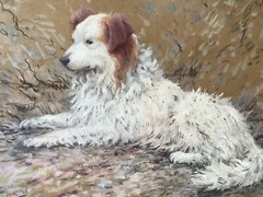 Gaston Simoes De FONSECA (1874-1943) Signed – Portrait Dog Gouache painting