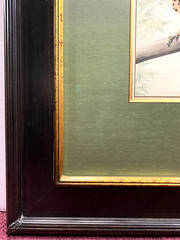Original Vintage Bird Art Painting Kestrel by Edmund Sawyer, Signed, Dated 1933