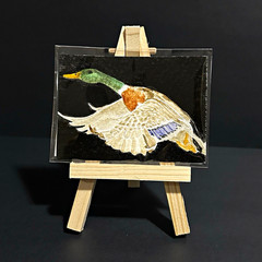 C. Peoples Original Watercolor First Mallard Duck Signed OOAK 2.5×3.5″ 2026 ACEO