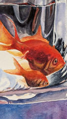 Goldfish Watercolor Painting Fish in Plastic Bag with Water Zodiac Pisces Art A4