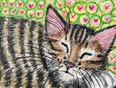 Tabby cat neocolor pastel original painting double ACEO 3.5 by 5 inches