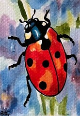 ACEO Original Art, Tiny Art – Watercolor – Ladybug – Hungry Ladybug