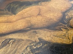ORIGINAL 1950s OIL PAINTING IN STYLE OF A FRANCISCO DE GOYA COPY LA MAJA DESNUDA