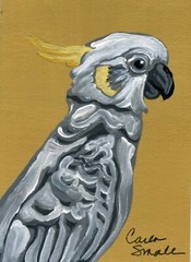 ACEO ATC Original Painting Sulfer Crested Cockatoo Pet Bird Art -Carla Smale