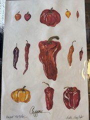 Original Watercolor Botanical Art Vibrant Chili & Bell Pepper Collection 15×22