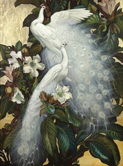 Wall art Animal White peacock Oil Painting Picture Giclee Printed on canvas L872