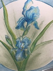 Vtg Ruby Weber Studios Study in BIue Iris Flowers 8 3/8”Sq Framed Iowa artist