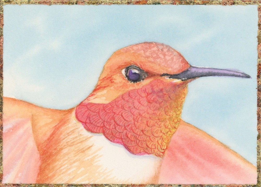 ACEO ORIGINAL Watercolor Painting „Rufous Hummingbird“ Birds In My Backyard