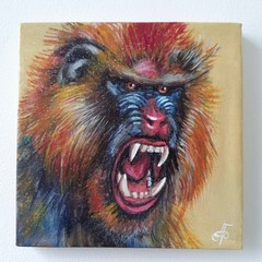 Original Acrylic Painting Colorful Mandrill Monkey Portrait Small Hand Painted