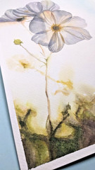 Abstract Floral Watercolor Painting White Background Romantic Botanical A4 Art