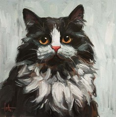 Original Handmade Oil Painting Portrait of Black and White Fluffy Cat 8 x 8 inch