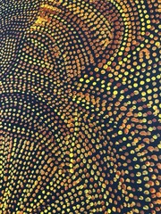 Joy Purvis Petyarre ,Authentic Aboriginal Art, Size; 120 x 60cm Bush Yam Seeds
