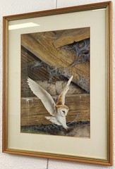 PETER SMITH KENDAL ARTIST ORIGINAL WATERCOLOUR BARN OWL WILDLIFE PAINTING, 1988.