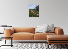 Original Country Path Oil Painting Poppy Meadow Flowers Rural Field Wall Art