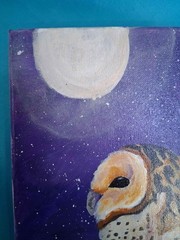 Barn Owl And The Moon Original Art 9×12 Signed CoA