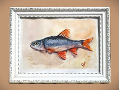 Original Watercolor Painting Fish Roach Framed Art Gift for Fisherman Lake Decor