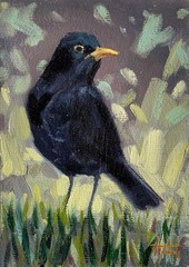 Bird Blackbird Oil Painting 5×7 inches Signed by the artist