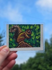 ACEO Original Squirrel Art Card