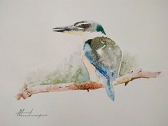 Kingfisher, Birds, Watercolor artwork, Handmade, Original painting on paper