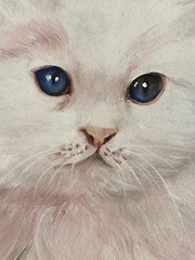 Abernathy Vintage Persian White Kitten Cat Portrait Impressionism Folk Painting