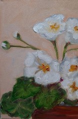 Oil still life painting on canvas size 10×10 inches