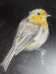 Original Bird Painting Acrylic Canvas Art Hand Painted Small Artwork Robin Gift⁠