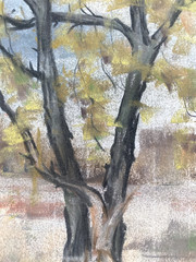 Franz Ehmke 1928 – 2018 Berlin Pastel Tree With Yellow Foliage Autumn