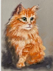 Red Cat Original Art Pet Portrait Painting Cat Pastels Art Orange Cat Artwork