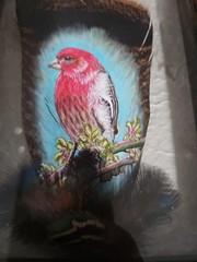 Hand Painted Feather Wall Art American West Indian Bird Framed/Signed 2014
