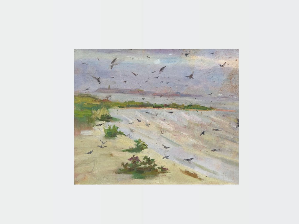 Oil painting Swallows Ukrainian painter cardboard framed original landscape art