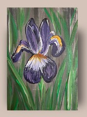 Purple Iris Flower VLP Hand Painted Floral Art Acrylic 5×7” Canvas Panel OOAK