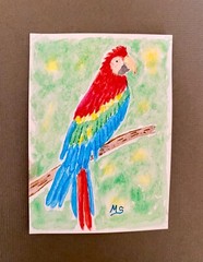 Parrot ACEO Painting Colorful Macaw Print Bird Animals Nature ATC Art