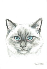 ACEO Original Watercolor Painting 2.5″ x3.5″ Siamese Kitty Cat Pet Portrait