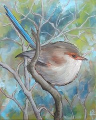 Original Oil Painting Bird Blue Fairy Wren Animal Art Canvas 8×10 Signed Artist