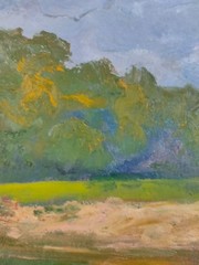 Painting, river landscape. People’s Artist A. N. Shkurko.